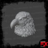 eagle head eagle head