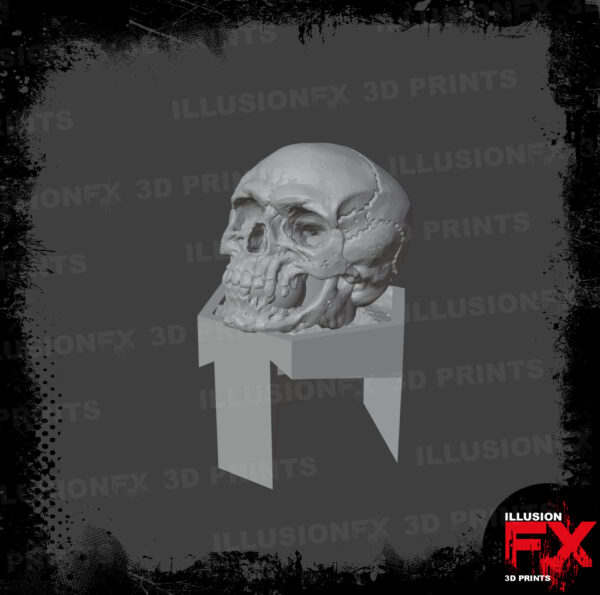 skull head grey